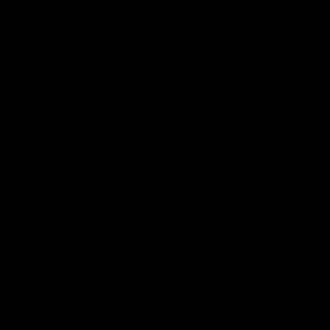 Meet your Posher, Mia